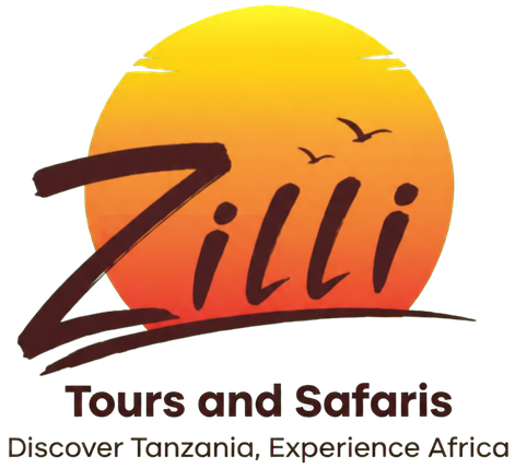 Zilli Safaris